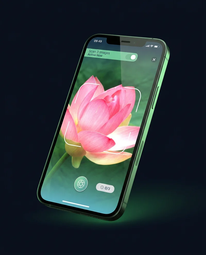 A rendering of an iPhone running Plantility: the camera view scanning a pink lotus flower with focus brackets and the green identify button.